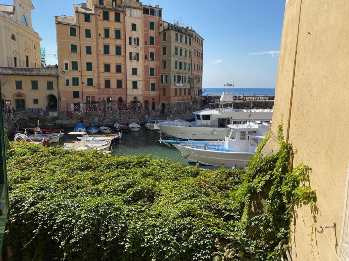 Camogli - "La Casa Di Judi" - Liguria Holidays エクステリア 写真